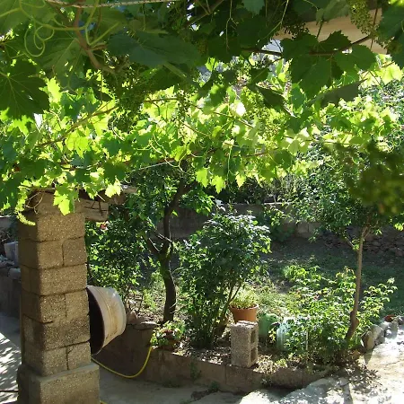 Hébergement de vacances La Corbula - - Q5992 Fluminimaggiore