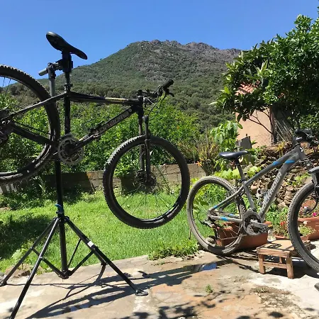 La Corbula - - Q5992 Hébergement de vacances Fluminimaggiore