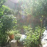 La Corbula - - Q5992 * Fluminimaggiore