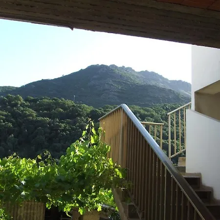 La Corbula - - Q5992 * 플루미니마조레