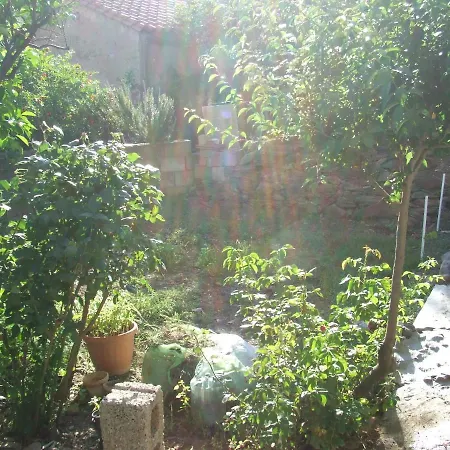 La Corbula - - Q5992 * 플루미니마조레