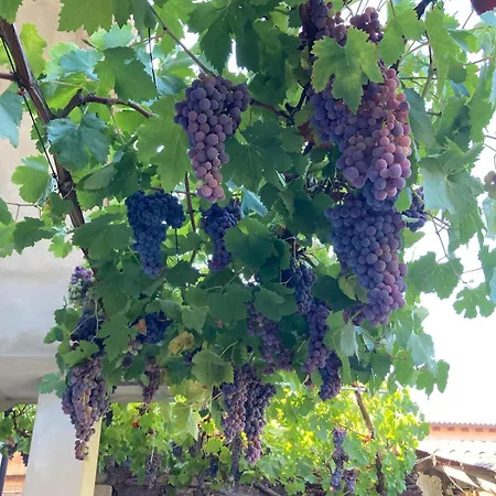 La Corbula - - Q5992 Vakantiehuis Fluminimaggiore